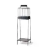 54" x 15" Iron/Glass House Terrarium Planter Black - Hilton Carter for Target