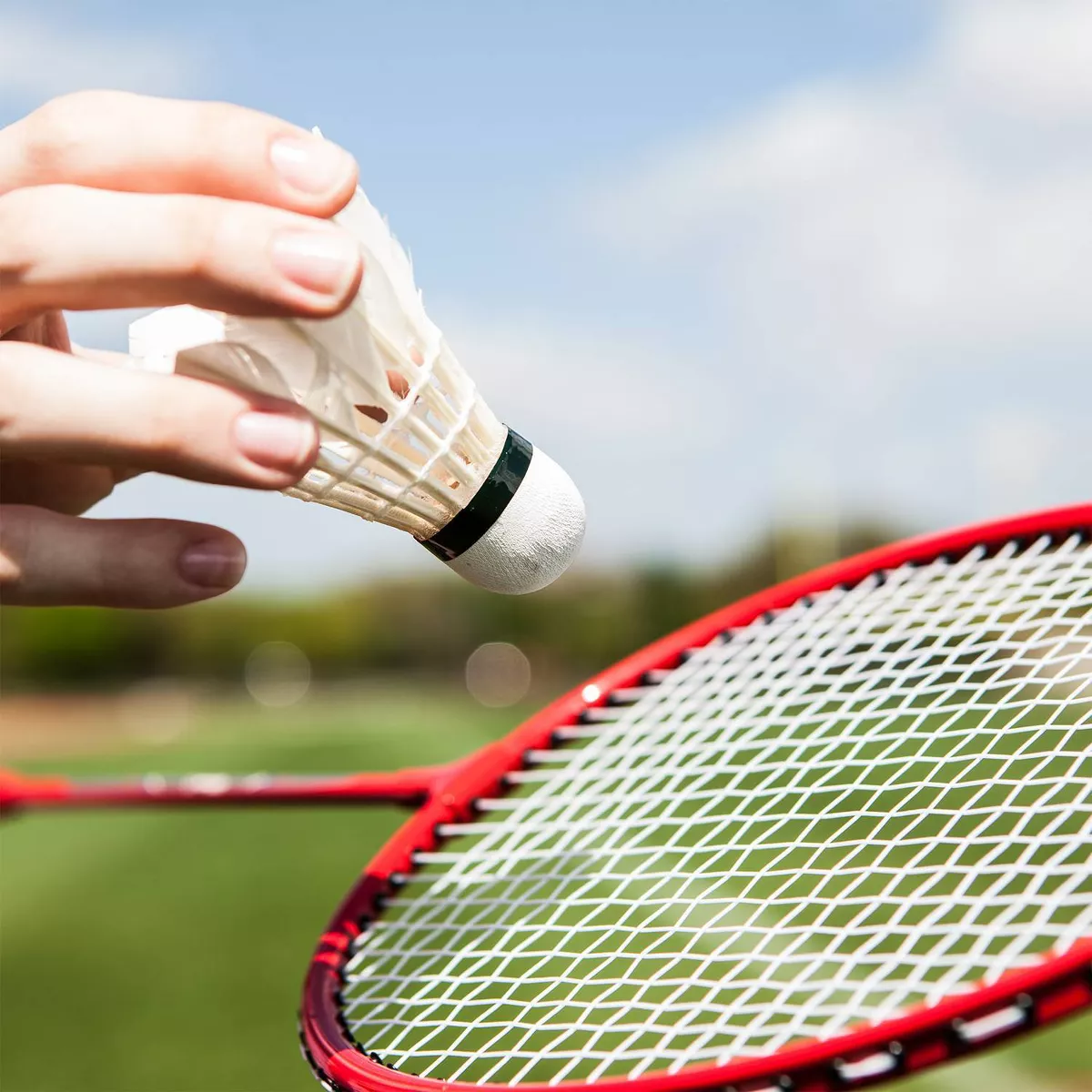 Champion Deluxe Volleyball and Badminton Tournament Set