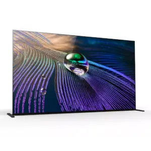 Sony 65