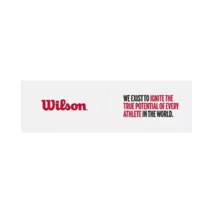 Wilson Touchdown Official Football