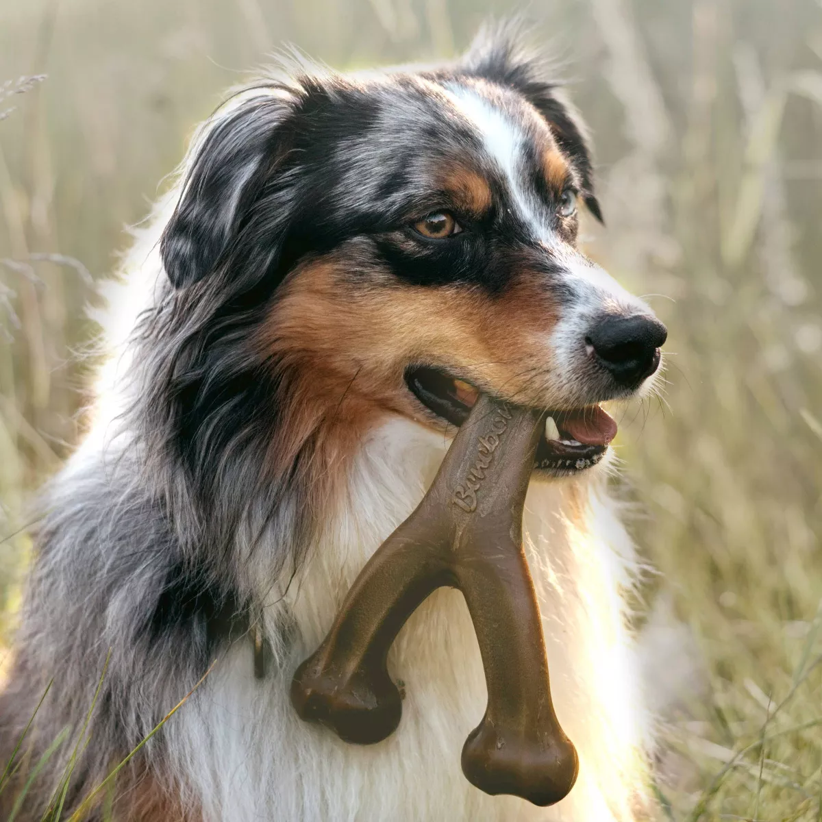 Benebone Wishbone Bacon Dog Toy - M