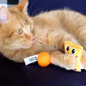 Quirky Kitty Cheesy Puffs Cat Toy - Orange - 2pk