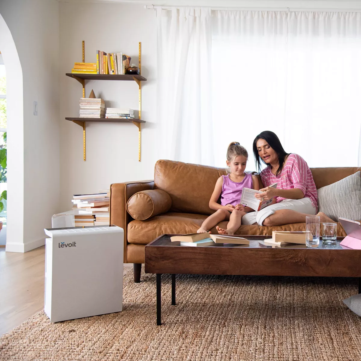 Levoit True HEPA Air Purifier