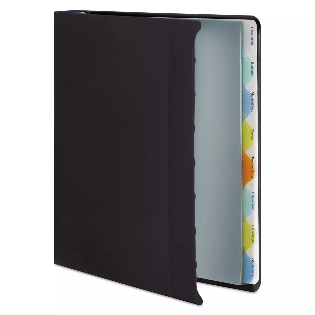 Wilson Jones View-Tab Presentation Round Ring View Binder w/Tabs 1