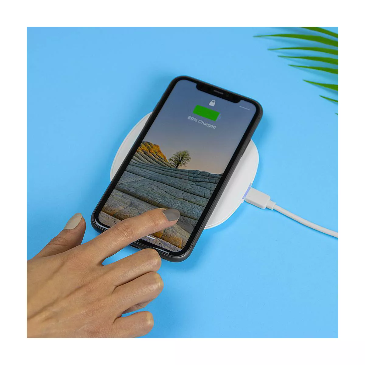 Just Wireless 5W Qi Wireless Charging Pad with 4ft TPU Charging Cable - White
