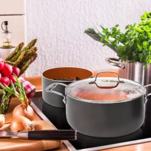 Gotham Steel Ti-cerama 5qt Pot with Lid