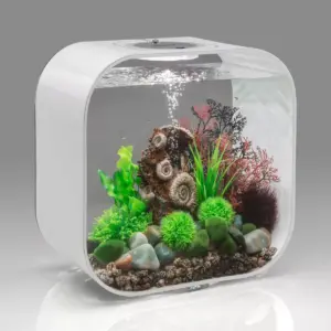 biOrb Ancient Conch Ornament Aquarium Sculptures - Brown