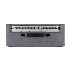 Blackstar Silverline Deluxe 100W Guitar Combo Amp Silver