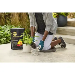 Miracle-Gro Potting Soil - 6qt