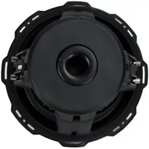 Rockford Fosgate P2D2-12 12