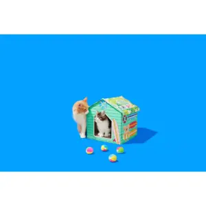 Surf Shop Basic Cat Scratch House - Sun Squad™