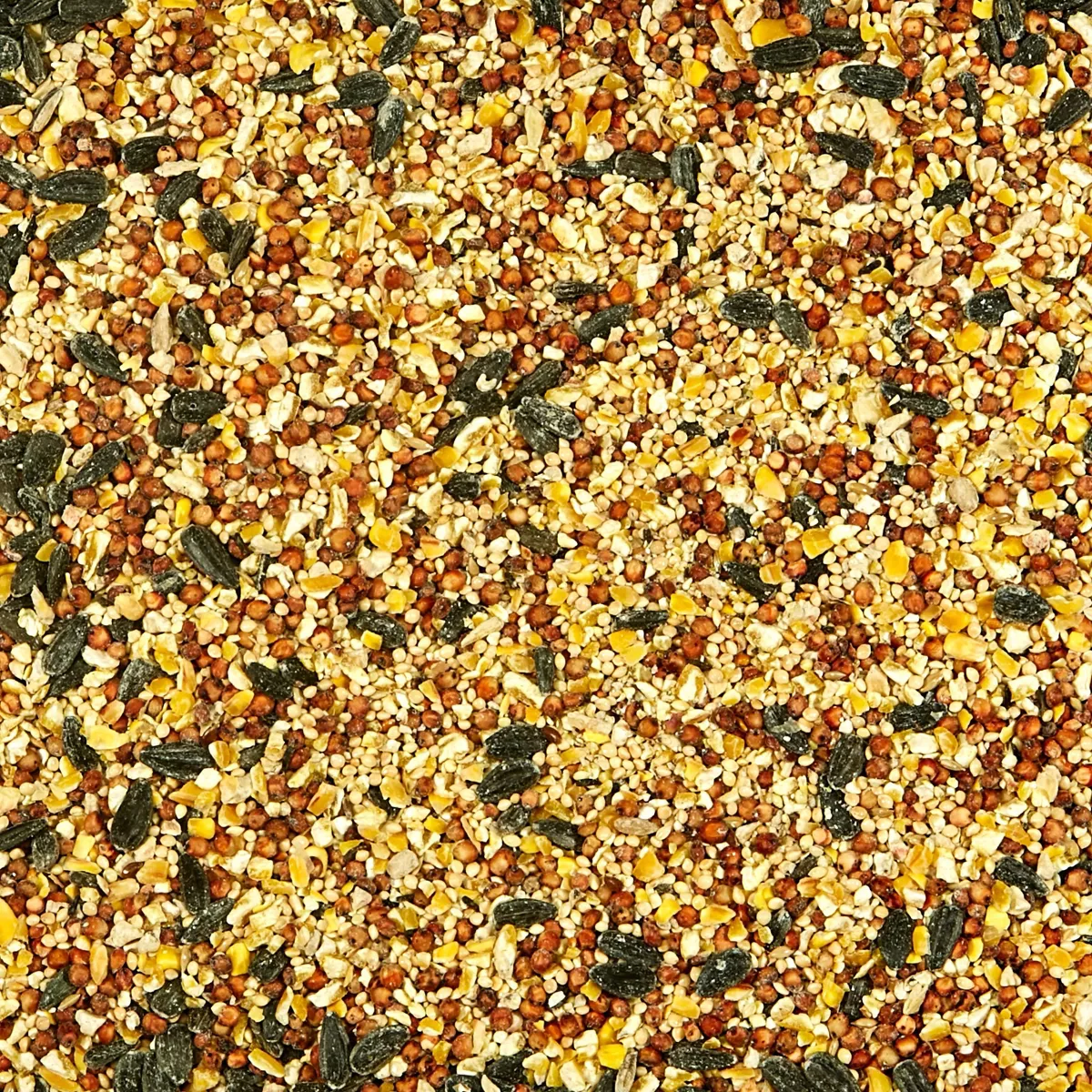 KAYTEE All American Cake Bird and Wildlife Food - 2.3lb