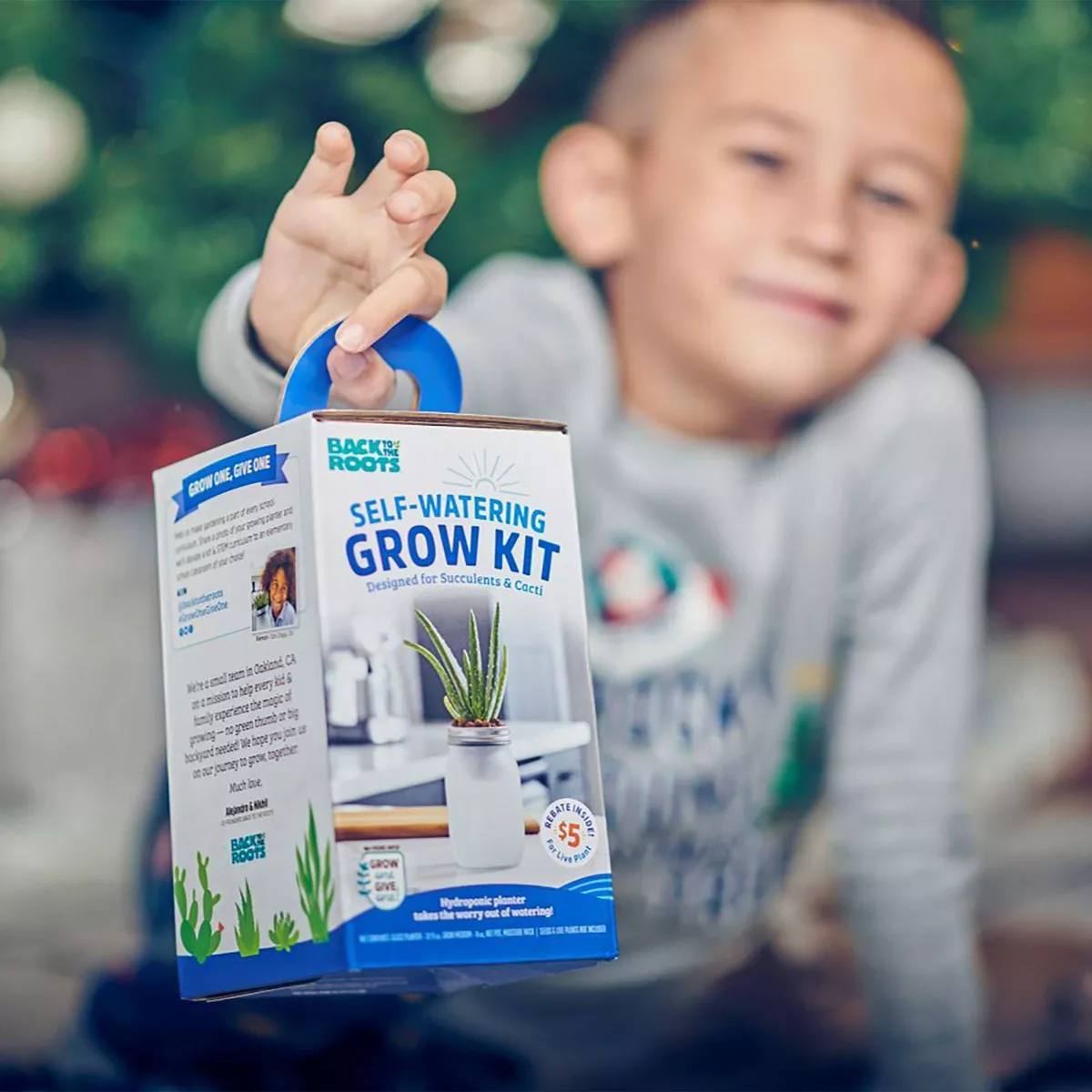 Back to the Roots Hydroponic Succulent & Cactus Grow Kit