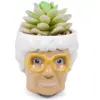 Silver Buffalo The Golden Girls Sophia Face Mini Ceramic Planter With Faux Succulent | 3 Inches