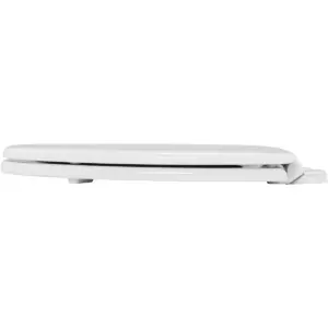 Lannon Never Loosens Elongated Enameled Wood Toilet Seat with Slow Close Hinge White - Mayfair by Bemis