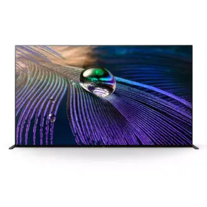 Sony 65