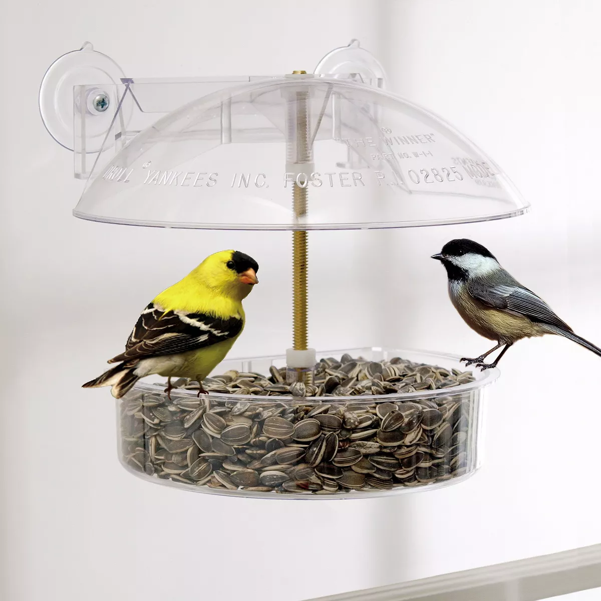 Droll Yankees Classic Winner Window Bird Feeder - White