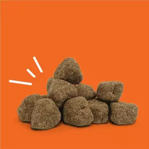Zesty Paws Hip and Joint Vitamins & Supplements for Dogs – 60 ct