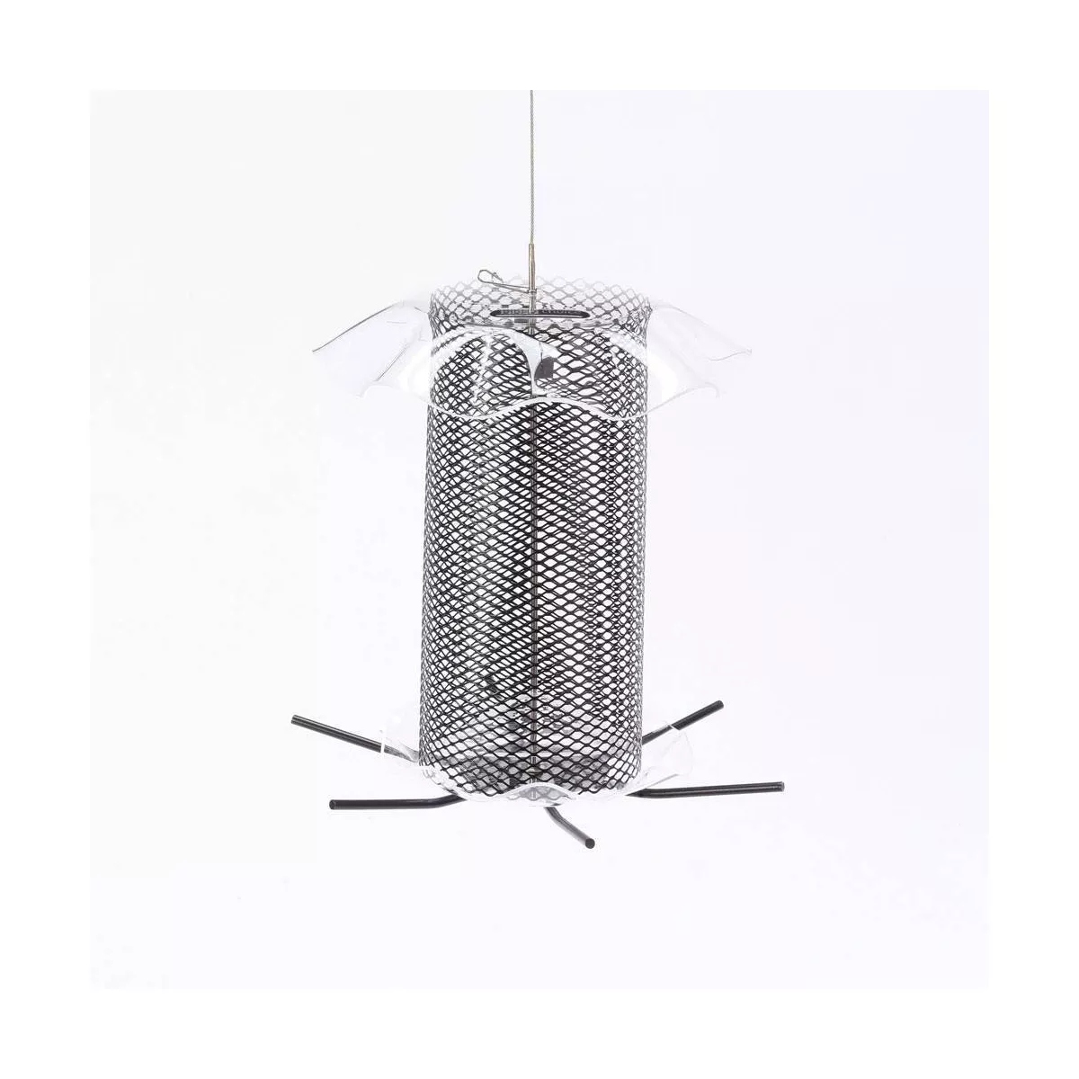 Birds Choice 3qt Safflower Forever Feeder - Clear