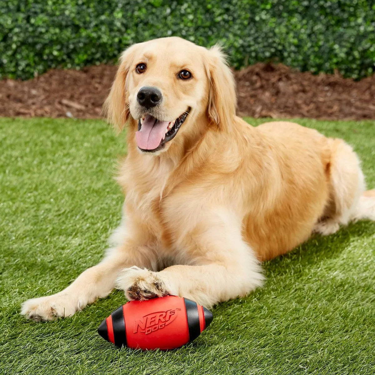 NERF Classic Squeak Football Dog Toy - Red - 5
