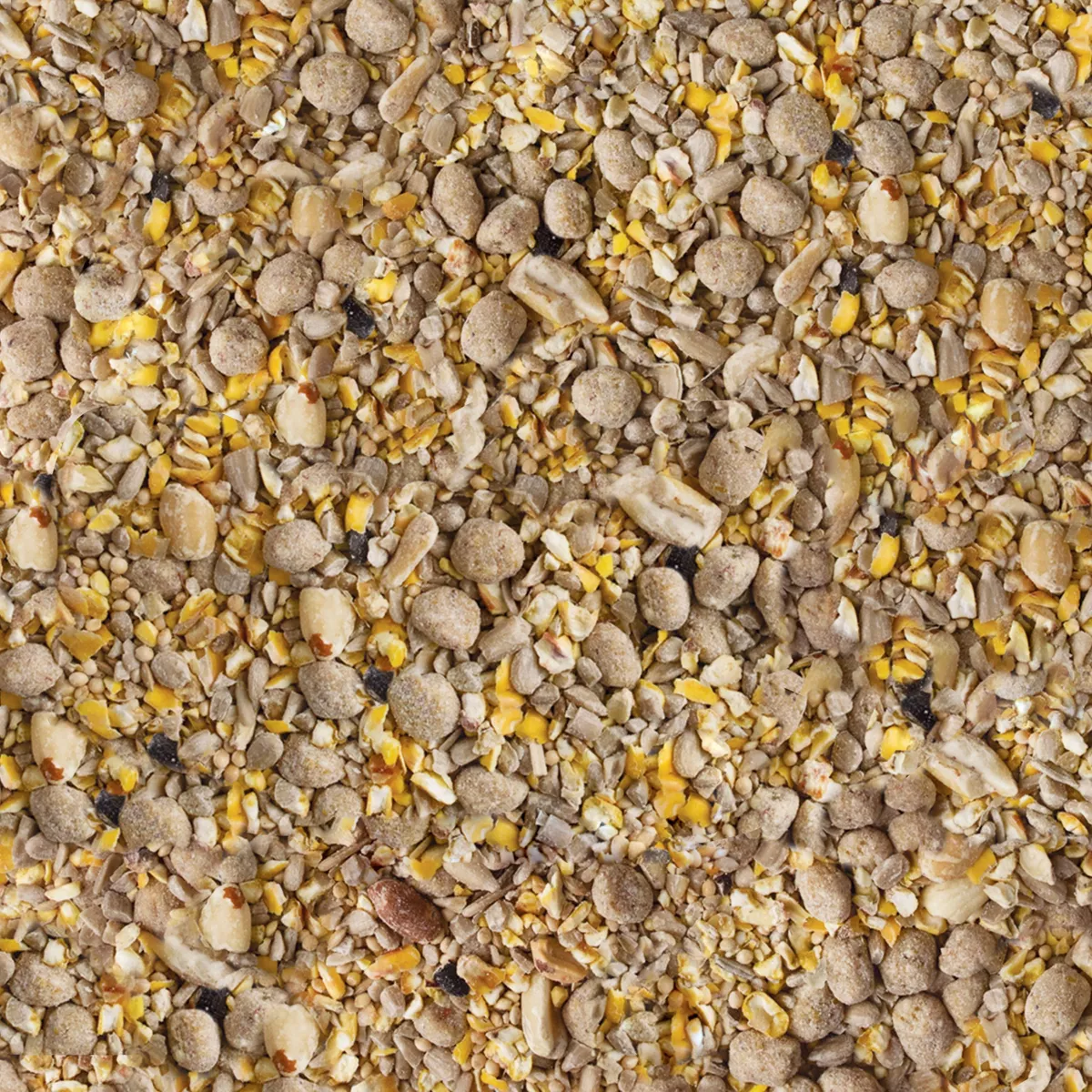 KAYTEE Seed and Suet Bird Food - 10lbs