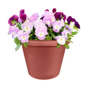 The HC Companies 12 Inch Indoor/Outdoor Classic Plastic Flower Pot Container Garden Planter with Molded Rim & Drainage Holes, Terra Cotta