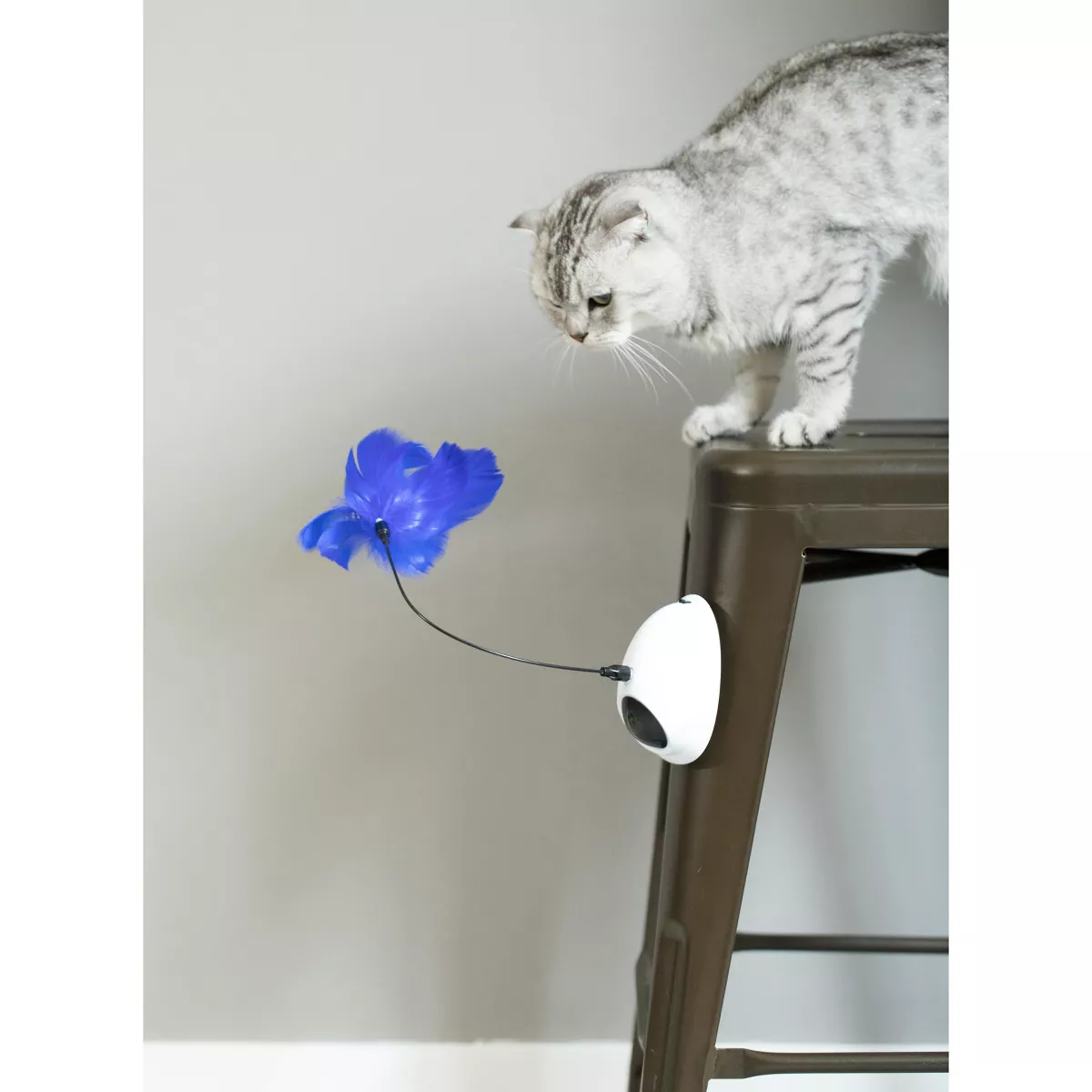 PawsMark Interactive 2-in-1 Spring Feather and Red Light Chaser Cat Toy