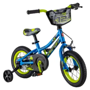 Schwinn Valve 12