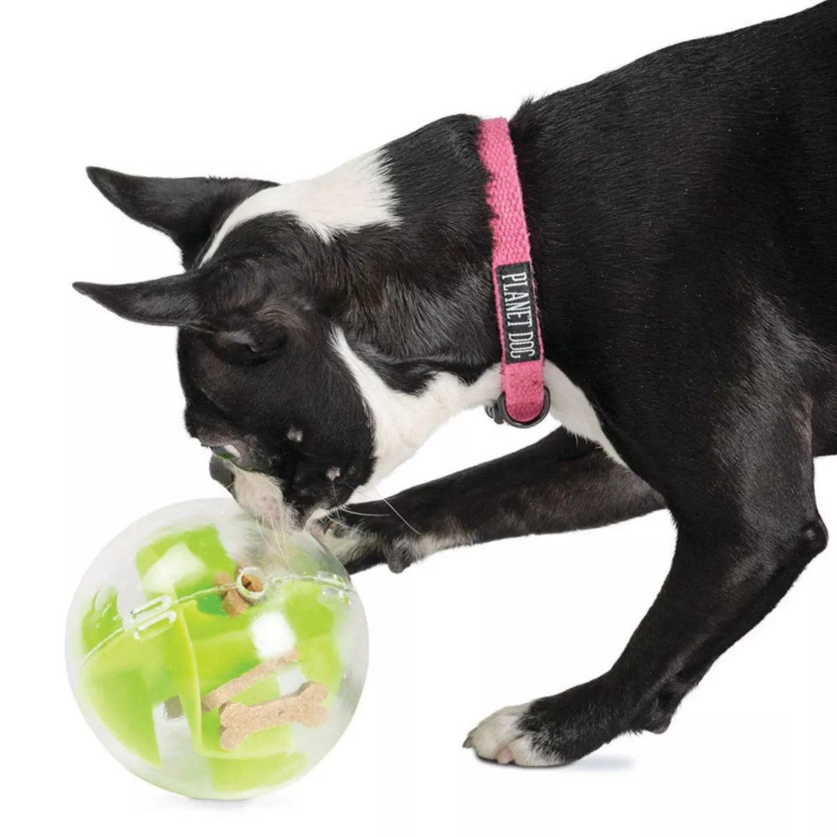 Planet Dog Orbee-Tuff Mazee Interactive Puzzle Ball Dog Toy - Green