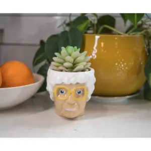 Silver Buffalo The Golden Girls Sophia Face Mini Ceramic Planter With Faux Succulent | 3 Inches