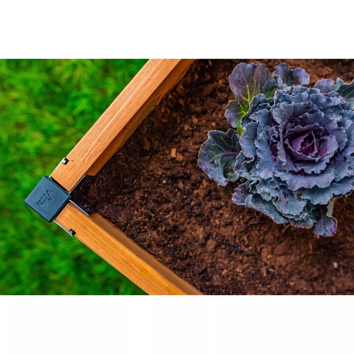 Mezza Garden Bed Square Planter - Vita