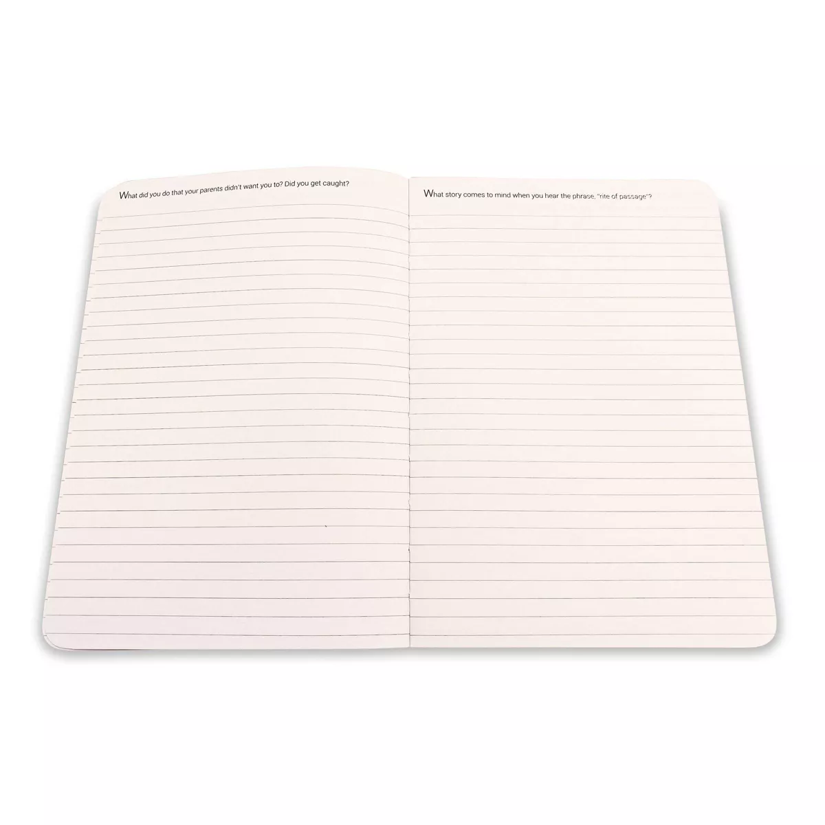 The Story of My Life Activity Journal - Piccadilly