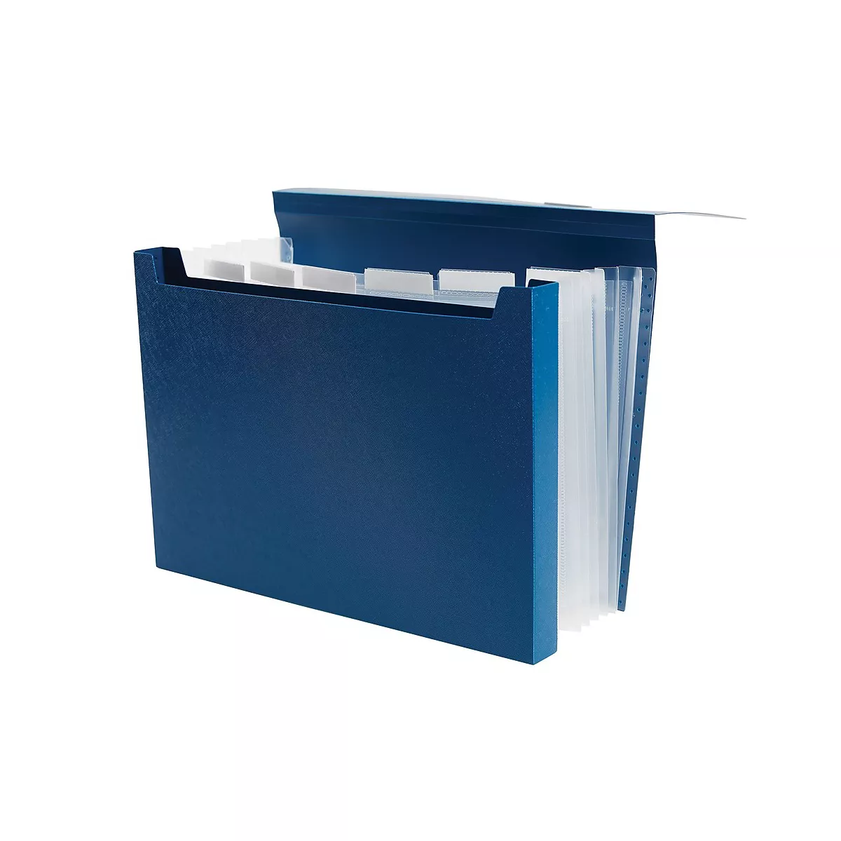 Staples Expanding File with 1