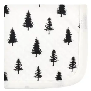 Hudson Baby Infant Boy Quilted Cotton Washcloths, Moose, One Size