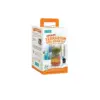 Back to the Roots Organic Terrarium Kids' Grow Kit