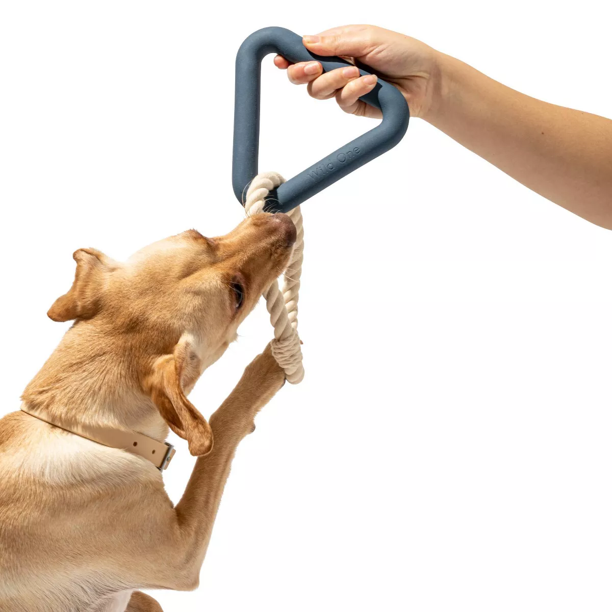 Wild One Triangle Tug Engaging Toy for Dogs - Blue