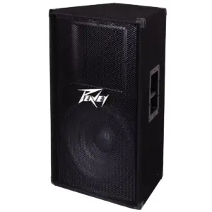 Peavey PV 115 15