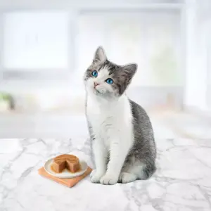 Blue Buffalo Tastefuls Pate Chicken Entrees Kitten Premium Wet Cat Food - 3oz/6ct