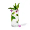 14oz Reserve Highball Glasses