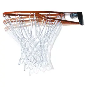 Lifetime Courtside Fusion 50
