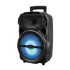 Studio Z STZP-800 8 Inch Portable Rechargeable Speaker Woofer Entertainment System with USB Music Stream and Handheld Wired Microphone