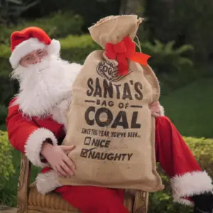 FOGO Santa Bag of Coal With Super Premium Restaurant Grade All-Natural Hardwood Lump Charcoal Fuel for Ideal Grilling and Smoking, Gold, 35 Pounds