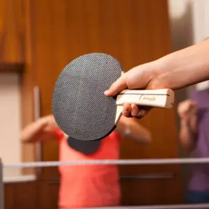 Champion Anywhere Table Tennis Set