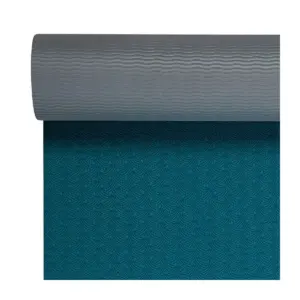 Gaiam Performance TPE Yoga Mat - Blue (6mm)