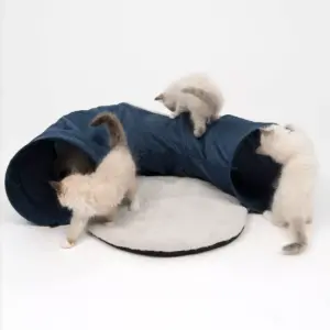 Catit Vesper Tunnel Cat Toy - Blue