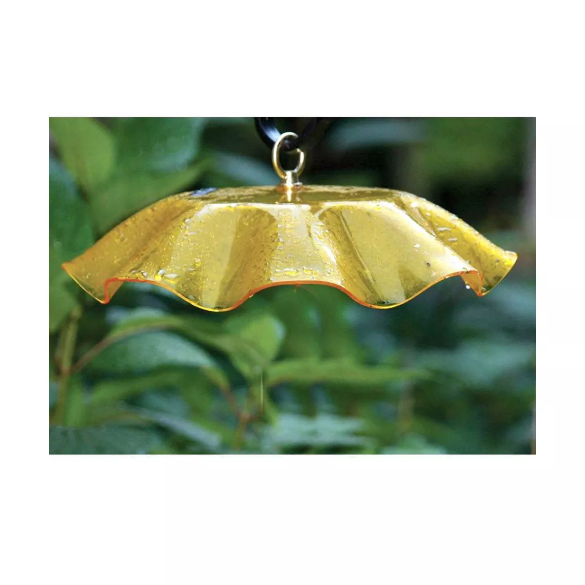 Birds Choice Weather Guard - Yellow