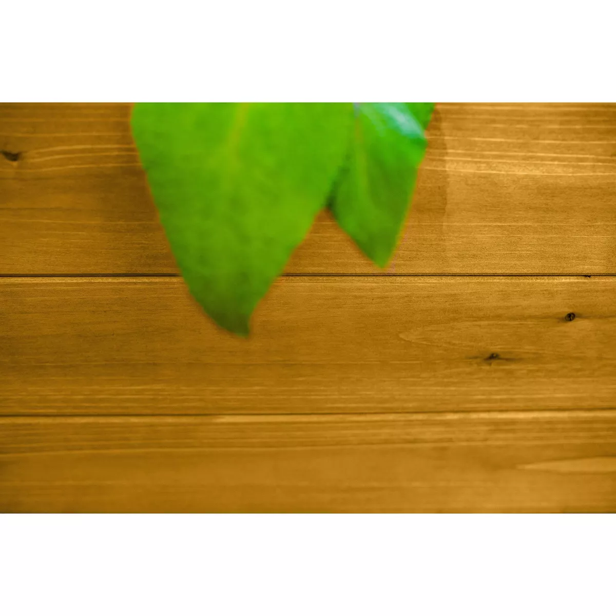 Mezza Garden Bed Square Planter - Vita