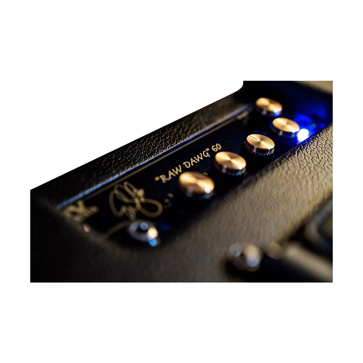 DV Mark EGC Raw Dawg 60 Eric Gales Signature 60W 1x12 Guitar Combo Amp Black and Gold