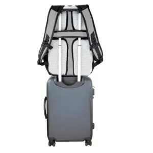 NBA Brooklyn Nets Gray Laptop Backpack