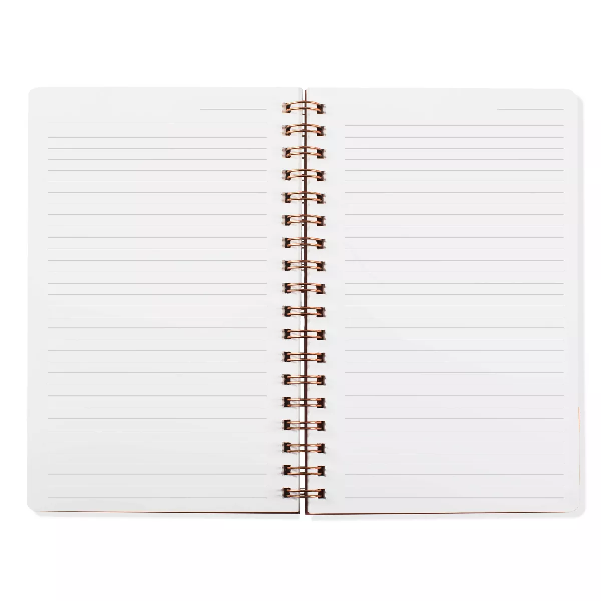 Inspirational Lined Journal with Elastic Closure Blush Pink - Fringe